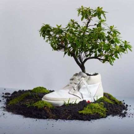 sustainability-products-biodegradabile-1.jpg